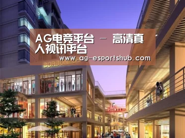 案例展示一