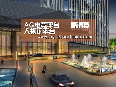 案例展示二