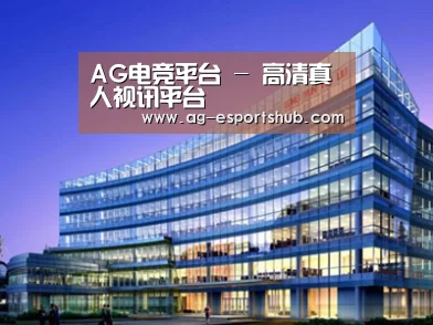 案例展示五