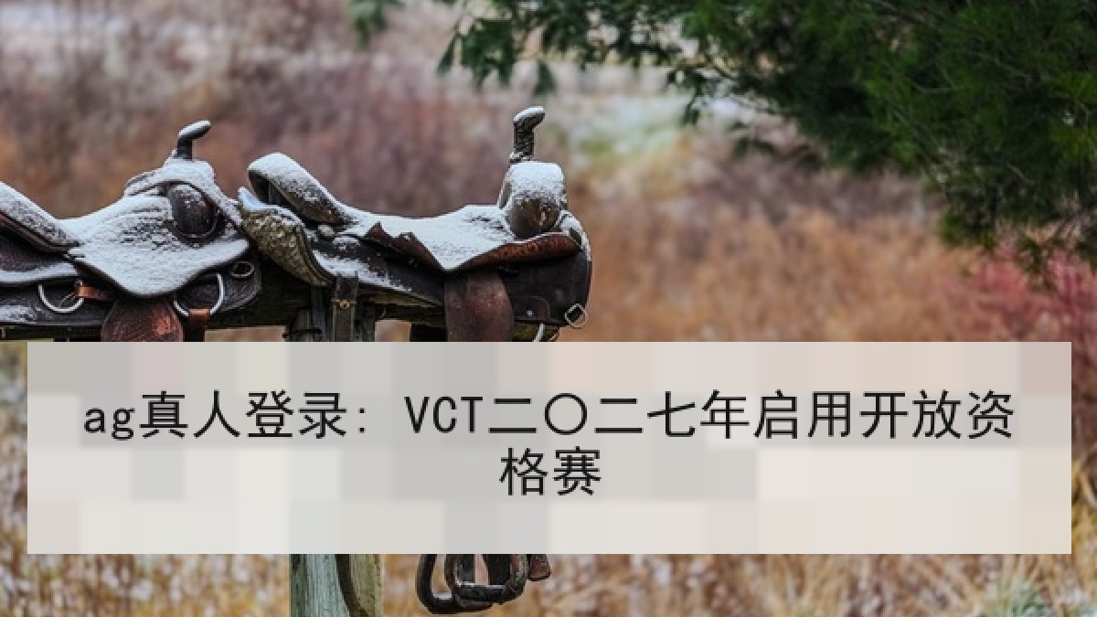 ag真人登录: VCT二〇二七年启用开放资格赛