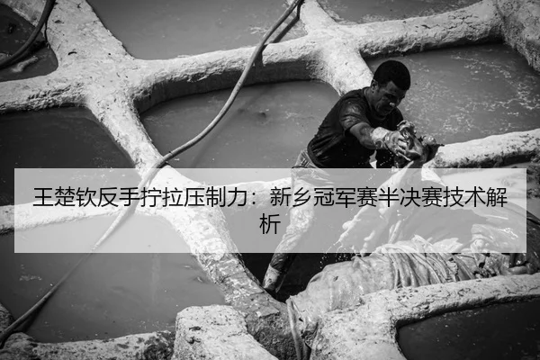 王楚钦反手拧拉压制力：新乡冠军赛半决赛技术解析