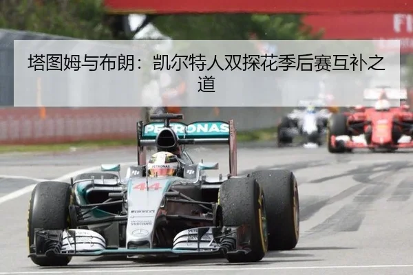 塔图姆与布朗：凯尔特人双探花季后赛互补之道