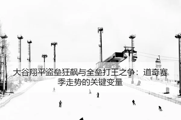 da-gu-xiang-ping-dao-lei-kuang-biao-yu-quan-lei-da-wang-zhi-zheng-dao-qi-sai-ji-zou-shi-de-guan-jian-bian-liang-2-424.jpg