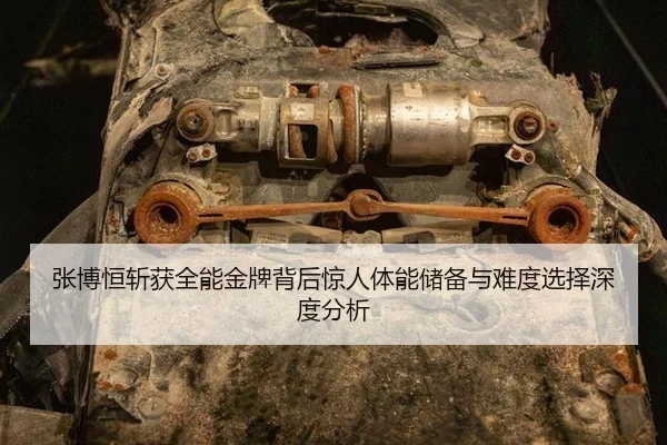 zhang-bo-heng-zhan-huo-quan-neng-jin-pai-bei-hou-jing-ren-ti-neng-chu-bei-yu-nan-du-xuan-ze-shen-du-fen-xi-3-272.jpg
