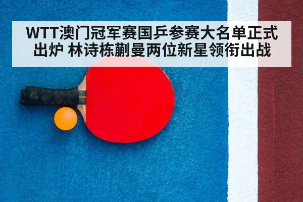 table tennis racket