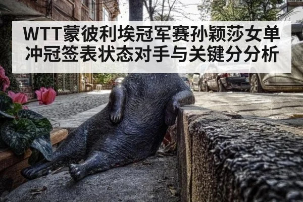 WTT蒙彼利埃冠军赛孙颖莎女单冲冠签表状态对手与关键分分析