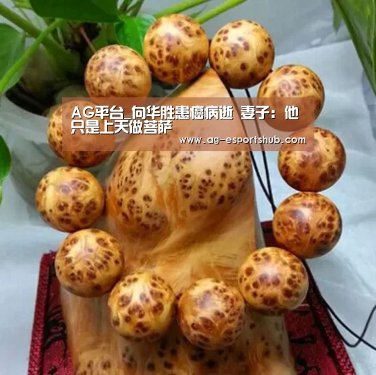 AG娱乐